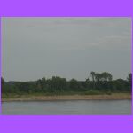 Mississippi  Shore.JPG